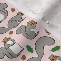 Cute Gray Squirrels and Nuts on Pastel Pink