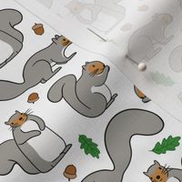 Gray Squirrels, Acorns, Leaves 