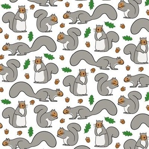 Gray Squirrels, Acorns, Leaves 