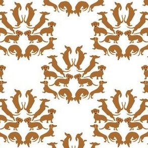 Custom Tan Dachshund Damask on White