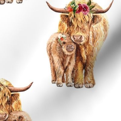 strawberry highland cows