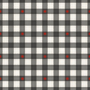 Black and White Check with Red Stars - White