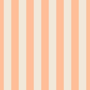 Cabana Stripes - PeachFuzz - LARGE