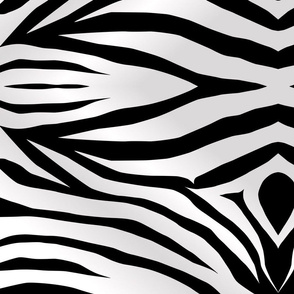 zebra-stripes-wallpaper