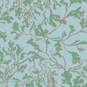  seaweed seafoam coral 