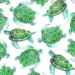 Watercolor turtles