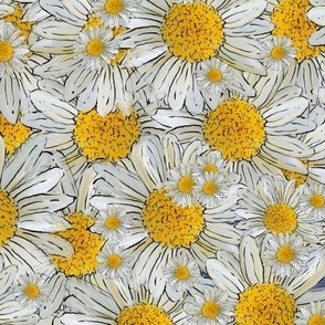 Daisy Dream