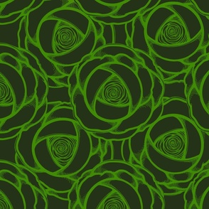 Two Tone Green  Roses