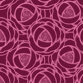 Two Tone Pink  Roses