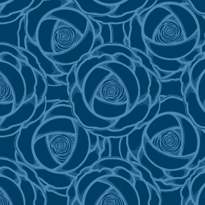 Two Tone Blue  Roses