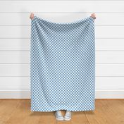 1 Inch Squares: Checkerboard Pattern in Pale Blue and White College Football Team Colors