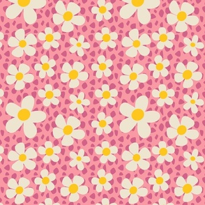 Daisies on pink