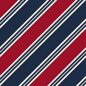 Sporty bias cut stripe navy red