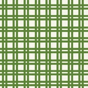 Companion pattern. Green gingham on a beige background
