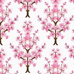 Sakura Cherry Blossom Trees