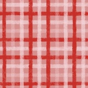 Valentine's Day Red Pink Sketchy Checkered Gingham Plaid