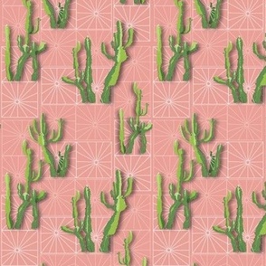 Crazy Cacti 
