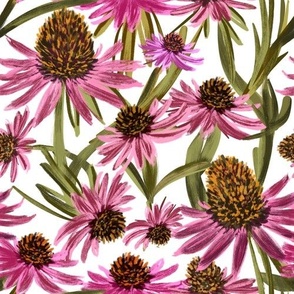 Hand-Drawn Cone Flowers in Pink
