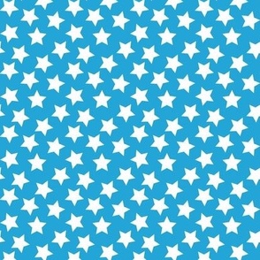 Glory Stars in blueberry Medium