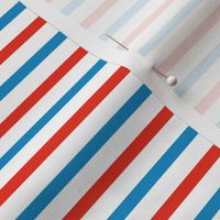 Glory-Red-and-Blue-stripe medium