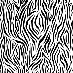 Zebra Love