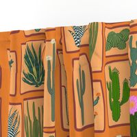 Cacti and succulents on orange