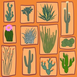 Cacti and succulents on orange