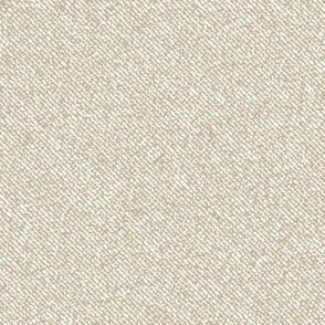 Beige Denim Texture