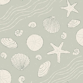 Beachcomber | Celadon Green | Seashell Beach Coastal