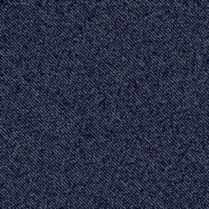 Dark Blue Denim Texture 