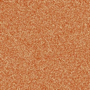 Brown Denim Texture  