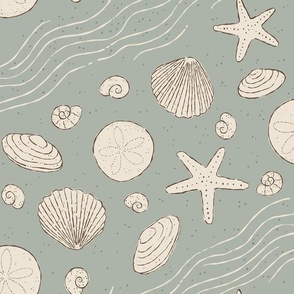 Beachcomber | Sea Sage and Walnut | Seashell Beach Coastal