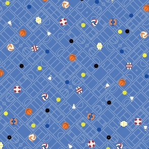 Various Court Sports Balls on Two-Tone Blue Sports Courts Background