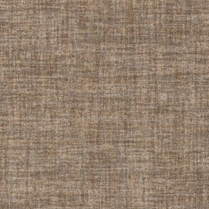 Celebrate Color Natural Texture Solid Brown Plain Brown Neutral Earth Tones _Elk Horn Neutral Brown Gray 988267 Subtle Modern Abstract Geometric