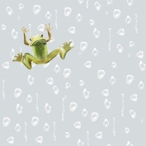[Small] 1 in Frog on a rainy window - Light Soft