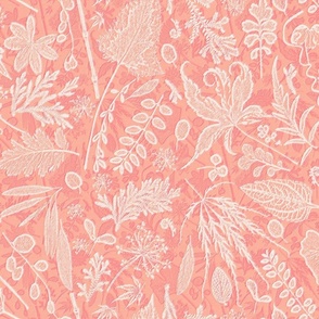 forest floor coral pink pastels