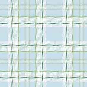 Spring Tartan light blue and kelly green country cottage