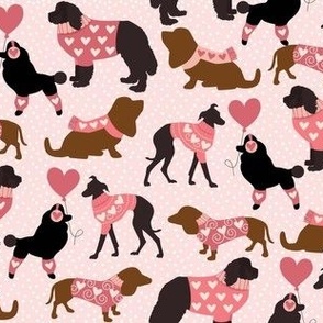 small Valentine's Day dogs wearing pink heart sweaters