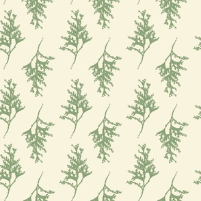 Pine Branches Green & Cream