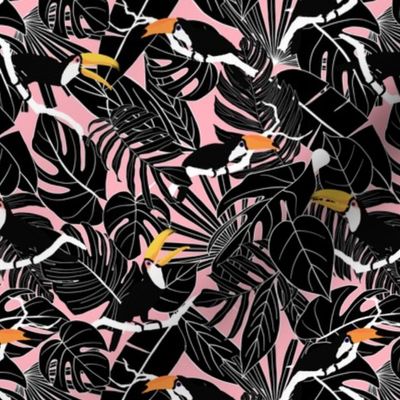 Tropical Toucan Foliage P&B Blush