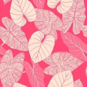 Pink Heart Leaves