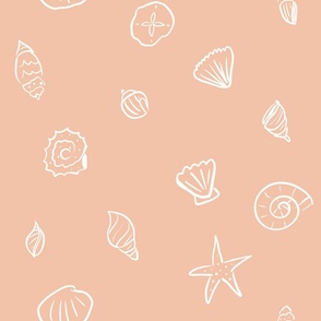 Minimalist Seashells on Peach