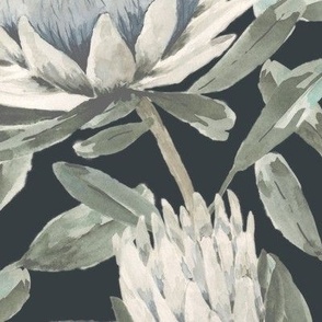 Medium Handpainted Watercolor White King Protea with Dulux Oolong Dark Grey Background