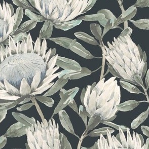 Small Handpainted Watercolor White King Protea with Dulux Oolong Dark Grey Background