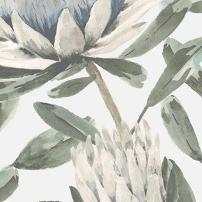 Medium Hand painted Watercolor White King Protea with Dulux Lexicon Cool White Background