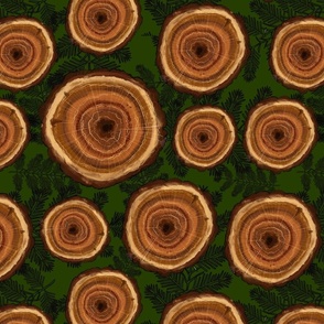 Tree Rings, Years of Growth