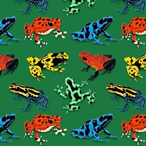 Poison Dart Frogs 12x12
