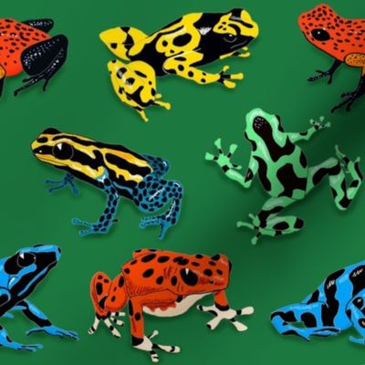 Poison Dart Frogs 8x8