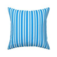 Smaller Dapper Dan Stripes in Blue