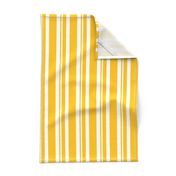 Bigger Dapper Dan Stripes in Golden Yellow